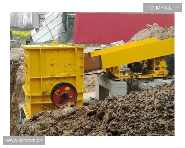 场地尺寸规则详细拆解：标准范围与误差容忍如何判定？