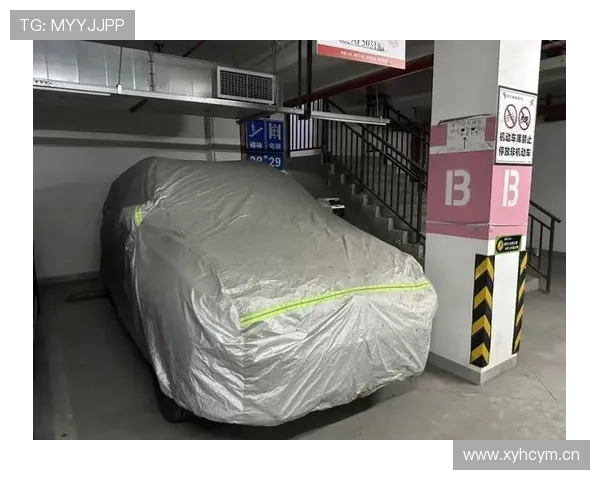 孙悦家的车库比我家还大，里面停的车我一辈子都买不起