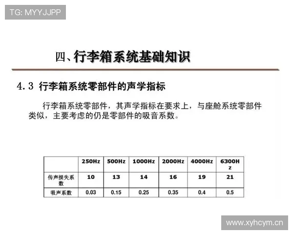 深入解析合理冲撞区规则的判定标准与适用范围